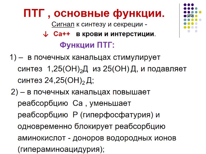 ПТГ , основные функции.       (20) Сигнал к синтезу